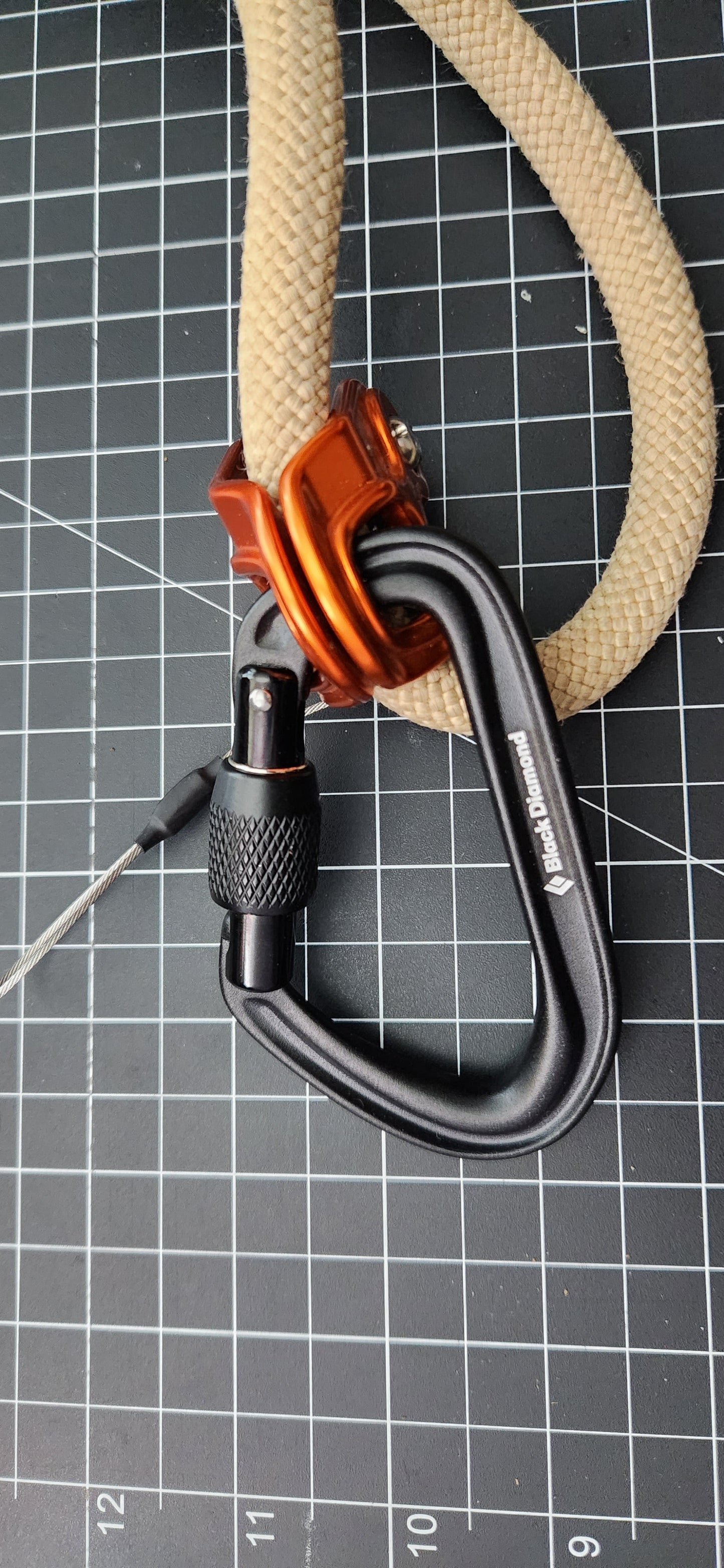 Hot Forge Screwgate Carabiner
