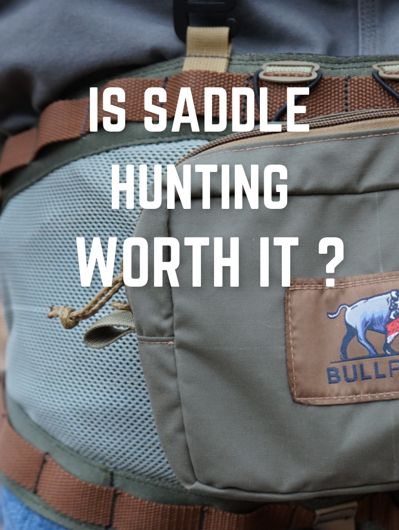 Is Saddle Hunting Worth It?