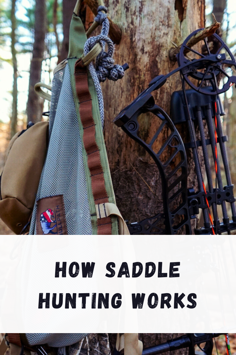 How Saddle Hunting Works – BullPath