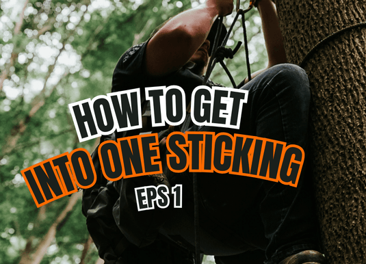 One stick climbing up a tree with a hunting saddle 