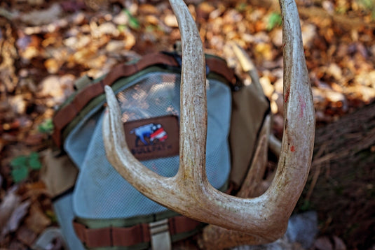 Hunting Saddle Placed Behind Buck Rack